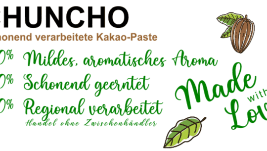 kakao paste kakaopaste logo